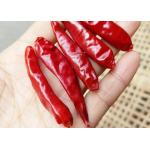 China 10% Moisture Stemless Dried Sichuan Chilli Whole Pods In 10KG Pack for sale