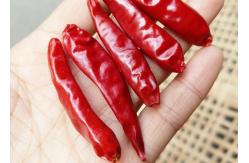 China 10% Moisture Stemless Dried Sichuan Chilli Whole Pods In 10KG Pack supplier