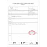 Wind And Snow Resistance Certification Artificial Ficus Tree