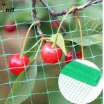 Outdoor Bird Proof Net 3m / 5m Knotted Nylon Netting For Garden And Balcony for sale