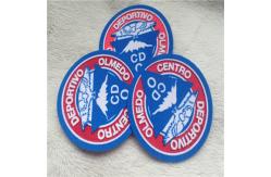 China Smooth Custom Heat Transfer Patches 3 Diemensional Embossed Plush Printing Tatami Flocking R supplier