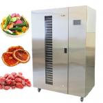 600L Industrial Fruit Dryer Machine 28 Trays Mango Apple Dehydrator Machine for sale