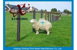 China Corrosion Resistance Welded Wire Livestock Panels With ISO9001 / 2008 Certificate supplier