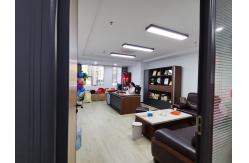 China Programmable IC Chip manufacturer