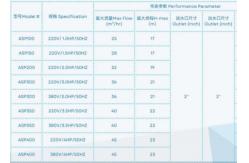 China ASP100 Swimming Pool Water Pumps For Swimming Pool Using supplier