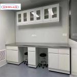 White Chemistry Lab Bench Laboratory  Casework with Number of Rails as Drawing for sale