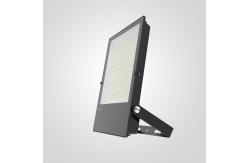 China Long Lifespan 3000K LED Flood Light 130lm/W Colour Changing LED Flood Lights supplier