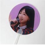 custom 3D lenticular hand fan Clear Picket Hand Fans for idol collection