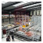 Worldwide Brick Making Project Design Demonstration Complete Production Line Project