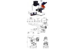 China 40X - 1000X Fluorescence Microscope Trinocular Compound Microscopes A16.0204 supplier