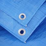 Heavy Weight PE Tarpaulin Fabric Tarp With Eyelets Blue Dust Resistant Boat Cover for sale