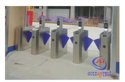 China Thermal Scanner Face Recognition Flap Barrier Turnstile supplier
