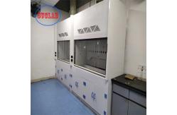 China Chemical Proof Laboratory Fume Cupboard With Scrubber Systems Touch Screen supplier