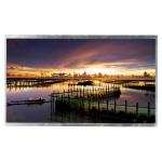 17.0 Inch 1440*900 TFT LCD Screen Display Original HSD170PG11-A for sale