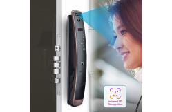 China Wifi Tuya Smart Lock 3D Access Control Face Recognition Door Lock supplier