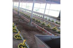 China Chicken Drinking Automatic Pan Feeding System For Poultry Farming Equipment supplier