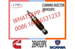 China Hot-selling new Diesel common rail Fuel Injector 2894920PX 2894920 supplier
