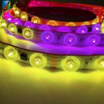 24V Digital RGB Flexible LED Strip 48LEDs Copper Body IP20 Rated Smart Strip Lights Diffuse Reflection 12mm PCB LED Lights for sale