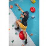Eco Friendly Rock Climbing Holds For Kids Indoor Outdoor Panel for sale