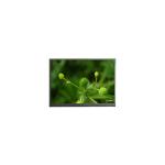 F065A11-6T1 6.5 inch 720*1560 TFT-LCD Panel Display for sale
