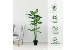 China Anti UV Potted Evergreen Plants Artificial Landscaping Faux Trees supplier