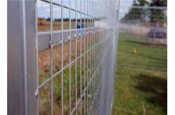 China Canada Standard Temporary Mesh Fencing Galvanized and Coloured Powder Coating supplier