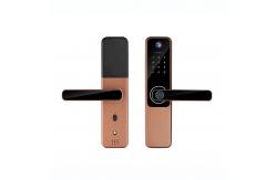 China Peephole Camera Digital Door Lock Fingerprint Card Smartlock Tuya supplier