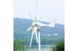 China High Frequency 220V Wind Power System 3 Phase AC Permanent Magnet supplier
