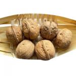 From Xinjiang China walnuts Chinese 185 walnut in shell walnuts for sale cheaply for sale