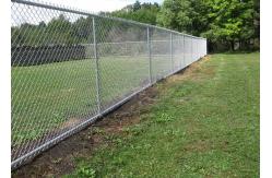 China Zoo Protecting 5mm Wire Diamond Chain Link Fence supplier