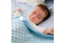 China Multifunctional Minky Infant Blanket Soft Minky Blankets Skin Friendly supplier