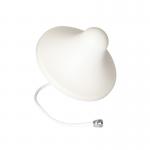 Omnidirectional 4G 5G Signal Booster Mushroom Head wifi Indoor Ceiling Antenna for sale