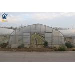 Galvanized Tunnel Greenhouse Year Round Crop Cultivation For Healthier Harvests for sale