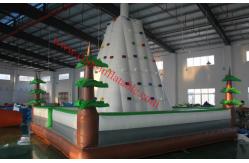 China inflatable climbing wall inflatable rock climbing wall climbing wall inflatable climbing supplier