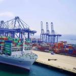 Fast Reliable FCL Container Shipping With T/T/L/C/D/P Payment Terms Standard for sale