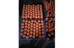 China C EXV33 NPG51 / GPR35 Canon Copier Toner 14600 P for Canon IR2520 supplier