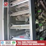 Cold Galvanized Steel Automatic Poultry Cage With Cleaning And Feeding System for sale