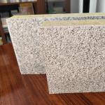 Customization Insulation Decoration Integrated Board With Paint Finish for sale