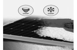 China Aluminum 50W Monocrystalline Solar Panel High Transmission Rate 3% Power Tolerance supplier