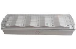China Wall Mounted Waterproof Self Testing Emergency Lights 220V with PC Diffuser supplier