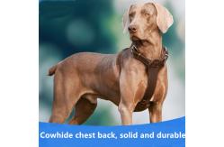 China Leather Pet Harness Leash For Medium Dogs Pit Bull Boxer Mastiff supplier