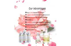 China 10ml Sample Perfume Oil Designer Fragrance Oil Concentrated Perfume Oils supplier