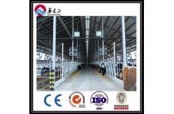 China OEM Galvanized Steel Structure Building supplier