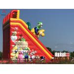 Commercial Inflatable Super Mario Dry Slide Inflatable Double Slides For Outdoor