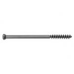 Titanium Cancellous Bone Screws for sale