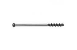 China Titanium Cancellous Bone Screws supplier