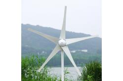 China 24VDC-384VDC Wind Power System Single Phase Split Phase Three Phase supplier