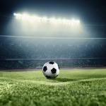 Monofilament Artificial Plastic Grass Good Water Permeability Green