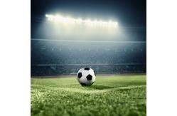 China Monofilament Artificial Plastic Grass Good Water Permeability Green supplier