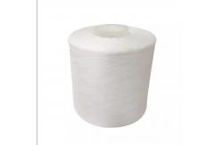 China White Spun 202 Polyester Yarn Raw Material 48F For Dyeing Thread supplier
